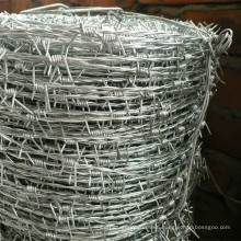 Galvanized Barbed Wire for Fence Wire